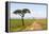 Africa, Kenya, Masai Mara National Reserve.-Emily Wilson-Framed Premier Image Canvas