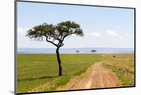 Africa, Kenya, Masai Mara National Reserve.-Emily Wilson-Mounted Photographic Print