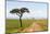 Africa, Kenya, Masai Mara National Reserve.-Emily Wilson-Mounted Photographic Print