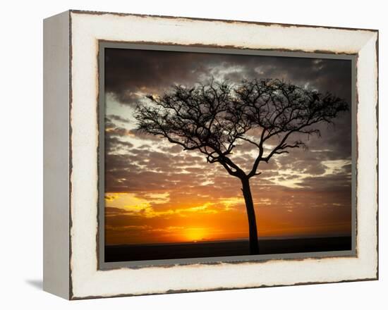 Africa, Kenya, Masai Mara, sunrise-George Theodore-Framed Premier Image Canvas