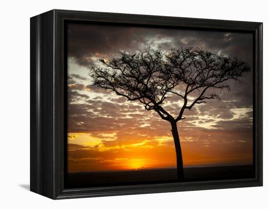 Africa, Kenya, Masai Mara, sunrise-George Theodore-Framed Premier Image Canvas