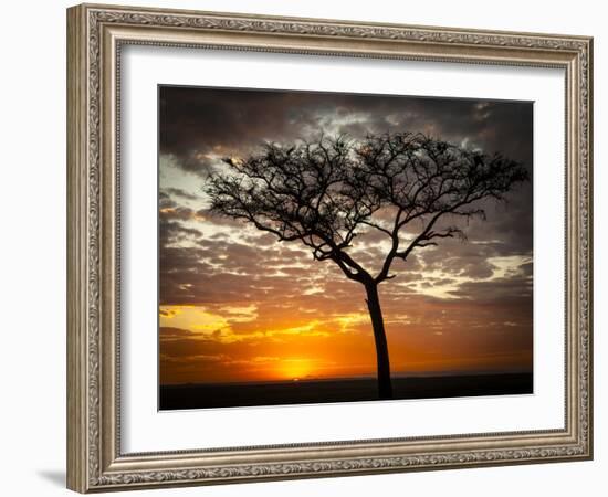 Africa, Kenya, Masai Mara, sunrise-George Theodore-Framed Photographic Print