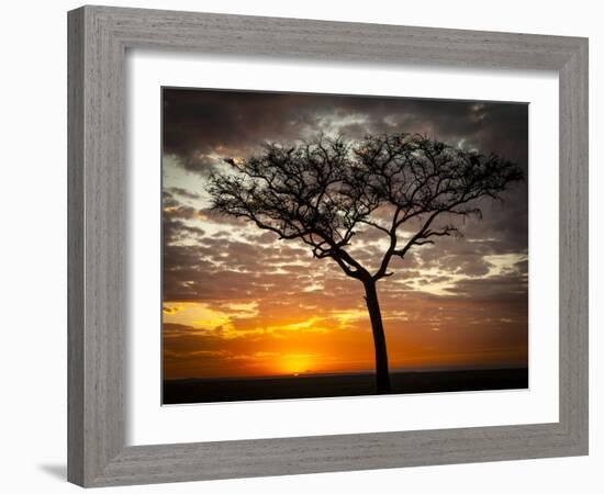 Africa, Kenya, Masai Mara, sunrise-George Theodore-Framed Photographic Print