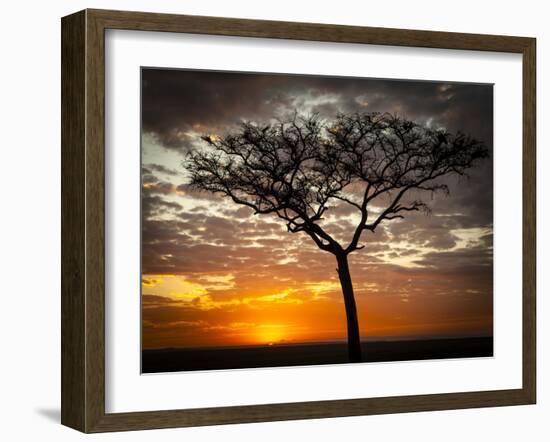 Africa, Kenya, Masai Mara, sunrise-George Theodore-Framed Photographic Print