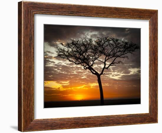 Africa, Kenya, Masai Mara, sunrise-George Theodore-Framed Photographic Print