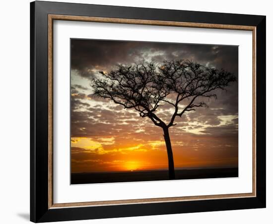 Africa, Kenya, Masai Mara, sunrise-George Theodore-Framed Photographic Print