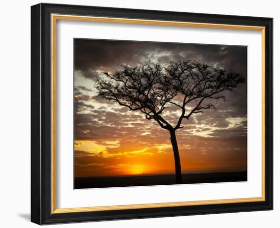 Africa, Kenya, Masai Mara, sunrise-George Theodore-Framed Photographic Print