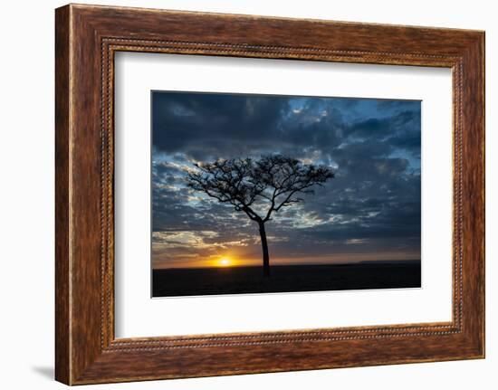 Africa, Kenya, Masai Mara sunrise-George Theodore-Framed Photographic Print