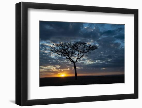 Africa, Kenya, Masai Mara sunrise-George Theodore-Framed Photographic Print