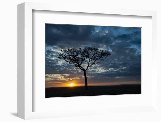 Africa, Kenya, Masai Mara sunrise-George Theodore-Framed Photographic Print