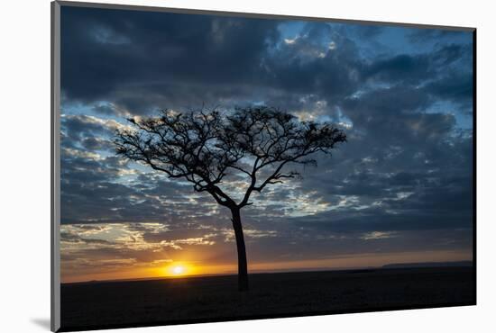 Africa, Kenya, Masai Mara sunrise-George Theodore-Mounted Photographic Print