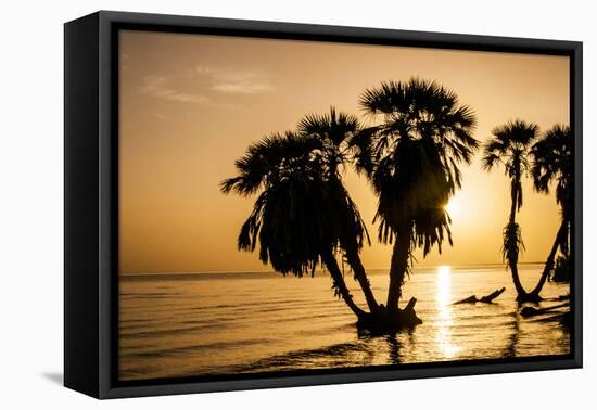 Africa, Kenya, North Rift District, sunrise on the beach, through the palms-Alison Jones-Framed Premier Image Canvas