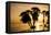 Africa, Kenya, North Rift District, sunrise on the beach, through the palms-Alison Jones-Framed Premier Image Canvas