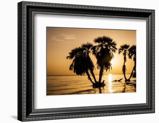 Africa, Kenya, North Rift District, sunrise on the beach, through the palms-Alison Jones-Framed Photographic Print