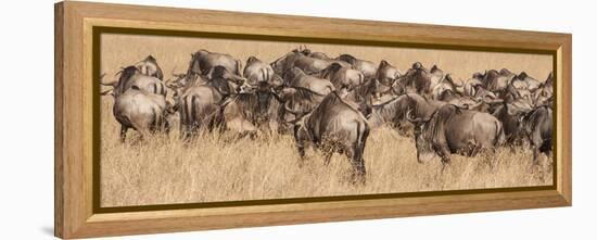 Africa, Kenya, wildebeest-George Theodore-Framed Premier Image Canvas