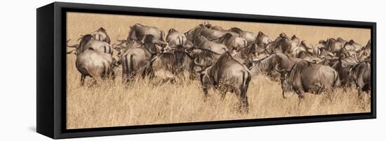 Africa, Kenya, wildebeest-George Theodore-Framed Premier Image Canvas