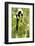 Africa, Madagascar. A black-and-white ruffed lemur completely relaxes in a tree.-Ellen Goff-Framed Photographic Print