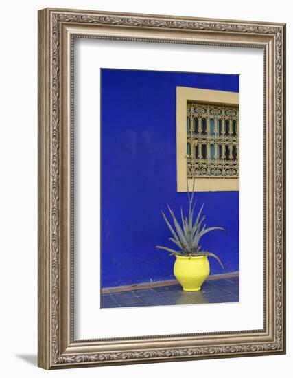 Africa, Morocco, Marrakesh. Cactus in a Bright Yellow Pot Against a Vivid Majorelle Blue Wall-Alida Latham-Framed Photographic Print