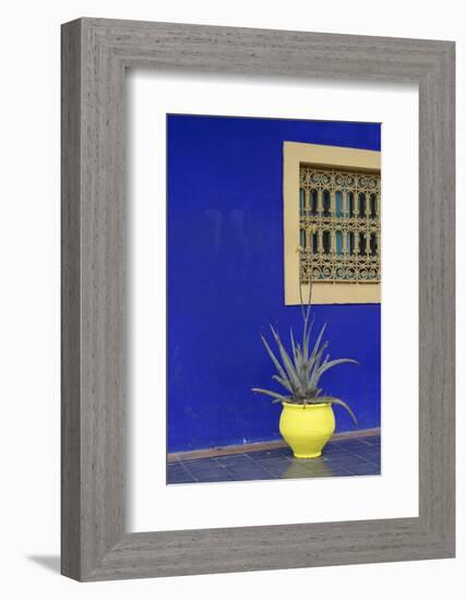 Africa, Morocco, Marrakesh. Cactus in a Bright Yellow Pot Against a Vivid Majorelle Blue Wall-Alida Latham-Framed Photographic Print