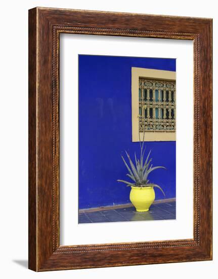 Africa, Morocco, Marrakesh. Cactus in a Bright Yellow Pot Against a Vivid Majorelle Blue Wall-Alida Latham-Framed Photographic Print