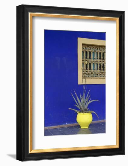 Africa, Morocco, Marrakesh. Cactus in a Bright Yellow Pot Against a Vivid Majorelle Blue Wall-Alida Latham-Framed Photographic Print