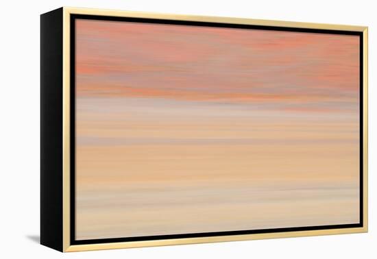 Africa, Namibia. Abstract of Heat Distorting Grassy Plain-Jaynes Gallery-Framed Premier Image Canvas