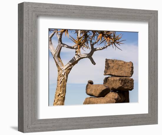 Africa, Namibia. Boulders and Quiver Tree in Giants Playground-Jaynes Gallery-Framed Photographic Print