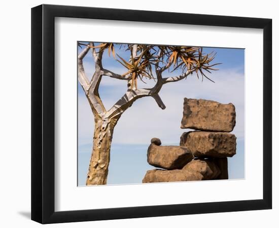Africa, Namibia. Boulders and Quiver Tree in Giants Playground-Jaynes Gallery-Framed Photographic Print
