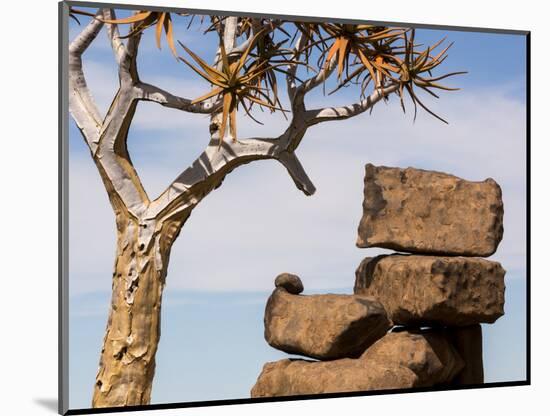 Africa, Namibia. Boulders and Quiver Tree in Giants Playground-Jaynes Gallery-Mounted Photographic Print