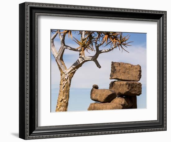 Africa, Namibia. Boulders and Quiver Tree in Giants Playground-Jaynes Gallery-Framed Photographic Print