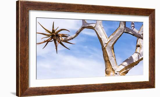 Africa, Namibia. Close Up of Quiver Tree-Jaynes Gallery-Framed Photographic Print