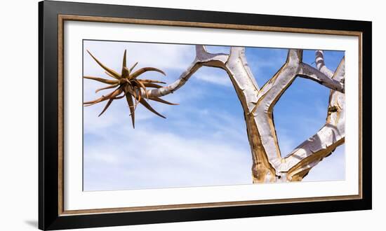 Africa, Namibia. Close Up of Quiver Tree-Jaynes Gallery-Framed Photographic Print