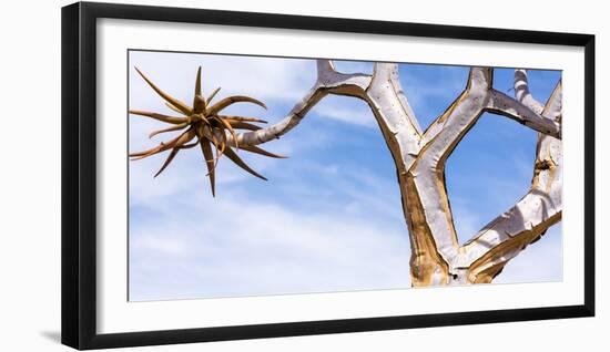 Africa, Namibia. Close Up of Quiver Tree-Jaynes Gallery-Framed Photographic Print
