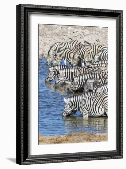 Africa, Namibia, Etosha National Park. Zebras at the watering hole-Hollice Looney-Framed Photographic Print