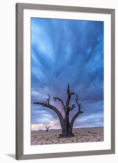 Africa, Namibia, Hardap region. A romantic sunset.-Catherina Unger-Framed Photographic Print