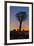 Africa, Namibia, Keetmanshoop, sunset at the Quiver tree Forest at the Quiver tree Forest Rest Camp-Hollice Looney-Framed Photographic Print