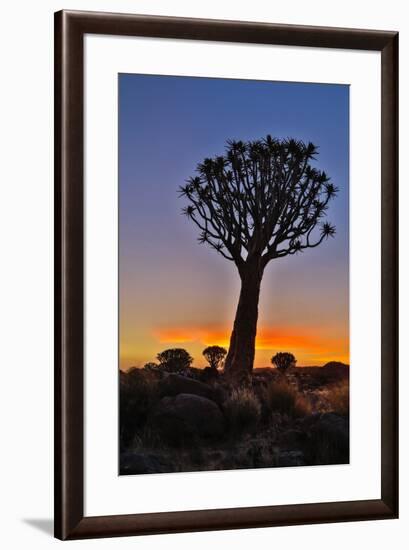 Africa, Namibia, Keetmanshoop, sunset at the Quiver tree Forest at the Quiver tree Forest Rest Camp-Hollice Looney-Framed Photographic Print