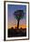 Africa, Namibia, Keetmanshoop, sunset at the Quiver tree Forest at the Quiver tree Forest Rest Camp-Hollice Looney-Framed Photographic Print