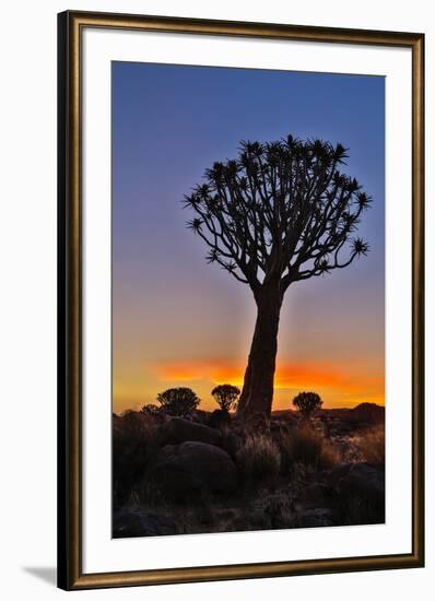 Africa, Namibia, Keetmanshoop, sunset at the Quiver tree Forest at the Quiver tree Forest Rest Camp-Hollice Looney-Framed Photographic Print