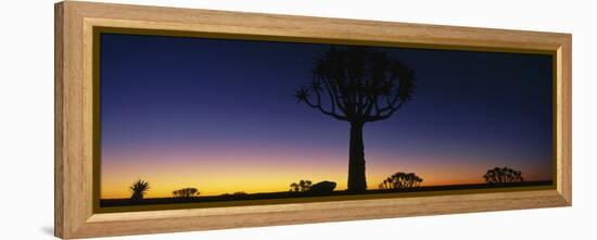 Africa, Namibia, Kokerboom Preserve, Quiver Tree-null-Framed Stretched Canvas