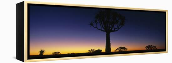 Africa, Namibia, Kokerboom Preserve, Quiver Tree-null-Framed Stretched Canvas