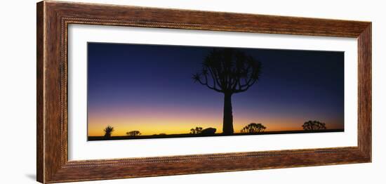 Africa, Namibia, Kokerboom Preserve, Quiver Tree-null-Framed Photographic Print