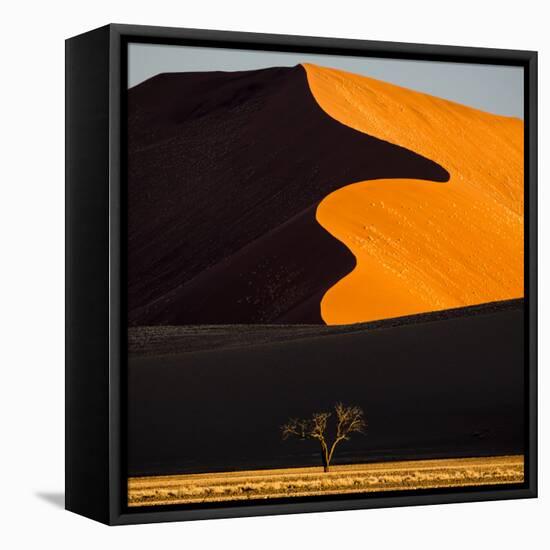 Africa, Namibia, Namib Naukluft National Park. Abstract of Sand Dune-Jaynes Gallery-Framed Premier Image Canvas