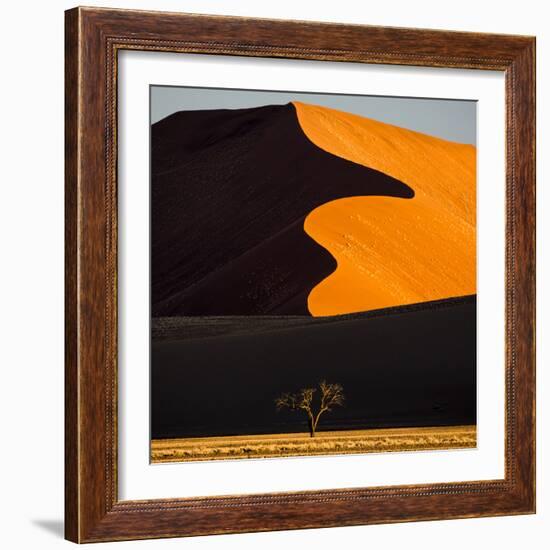 Africa, Namibia, Namib Naukluft National Park. Abstract of Sand Dune-Jaynes Gallery-Framed Photographic Print