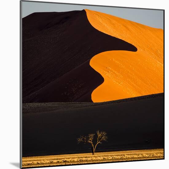 Africa, Namibia, Namib Naukluft National Park. Abstract of Sand Dune-Jaynes Gallery-Mounted Photographic Print