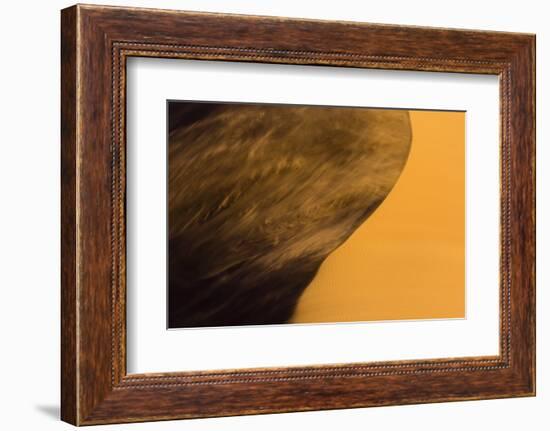 Africa, Namibia, Namib Naukluft National Park. Blowing Sand on Dune-Jaynes Gallery-Framed Photographic Print