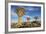 Africa, Namibia. Quiver Trees and Boulders-Jaynes Gallery-Framed Photographic Print