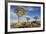 Africa, Namibia. Quiver Trees and Boulders-Jaynes Gallery-Framed Photographic Print