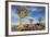 Africa, Namibia. Quiver Trees and Boulders-Jaynes Gallery-Framed Photographic Print