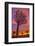 Africa, Namibia. Quiver trees at sunset.-Jaynes Gallery-Framed Photographic Print